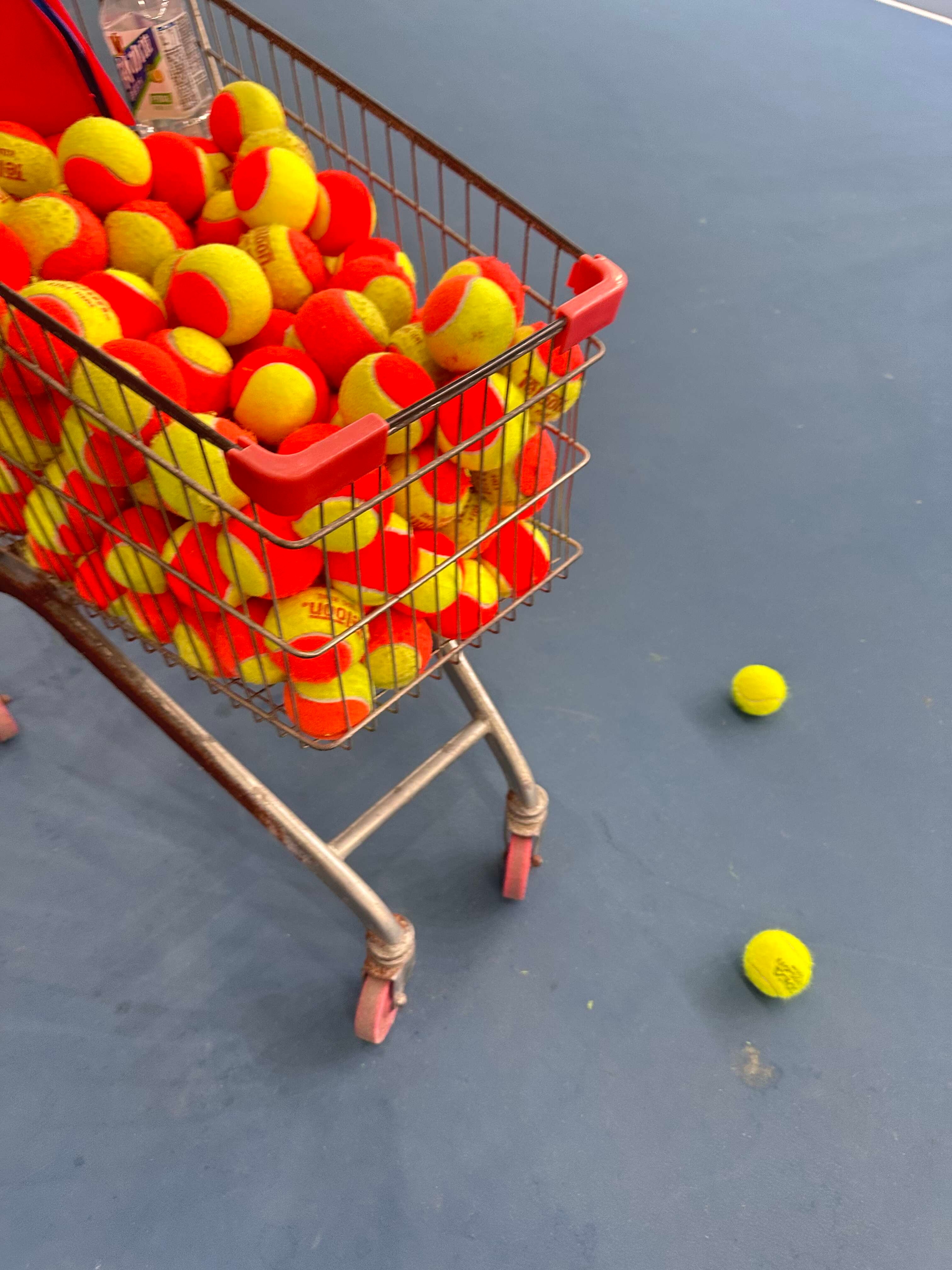 欢乐捡球人儿🎾好不容易找到自己喜欢的运动，这比找到男朋友还开心好好上课，总有一