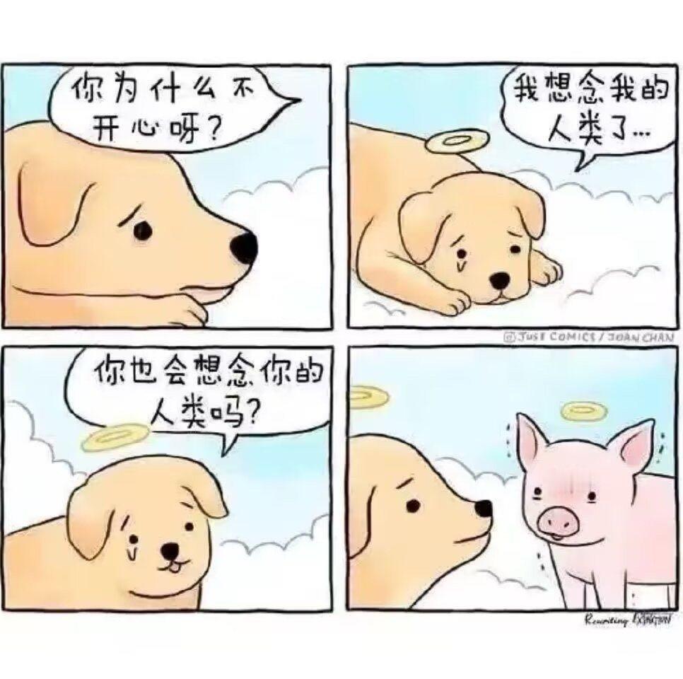 本来以为是一个很温馨的四格小漫画，直到看到最后一格[融化][融化] ​​​