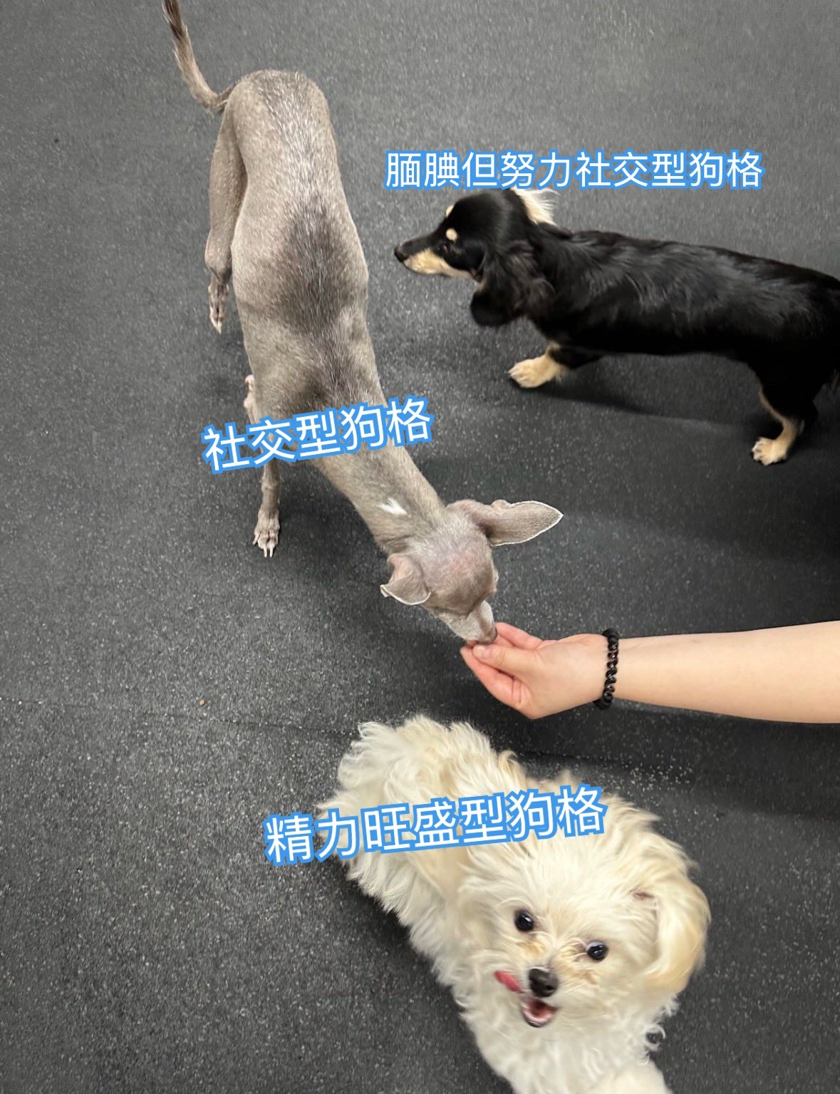 性格分明