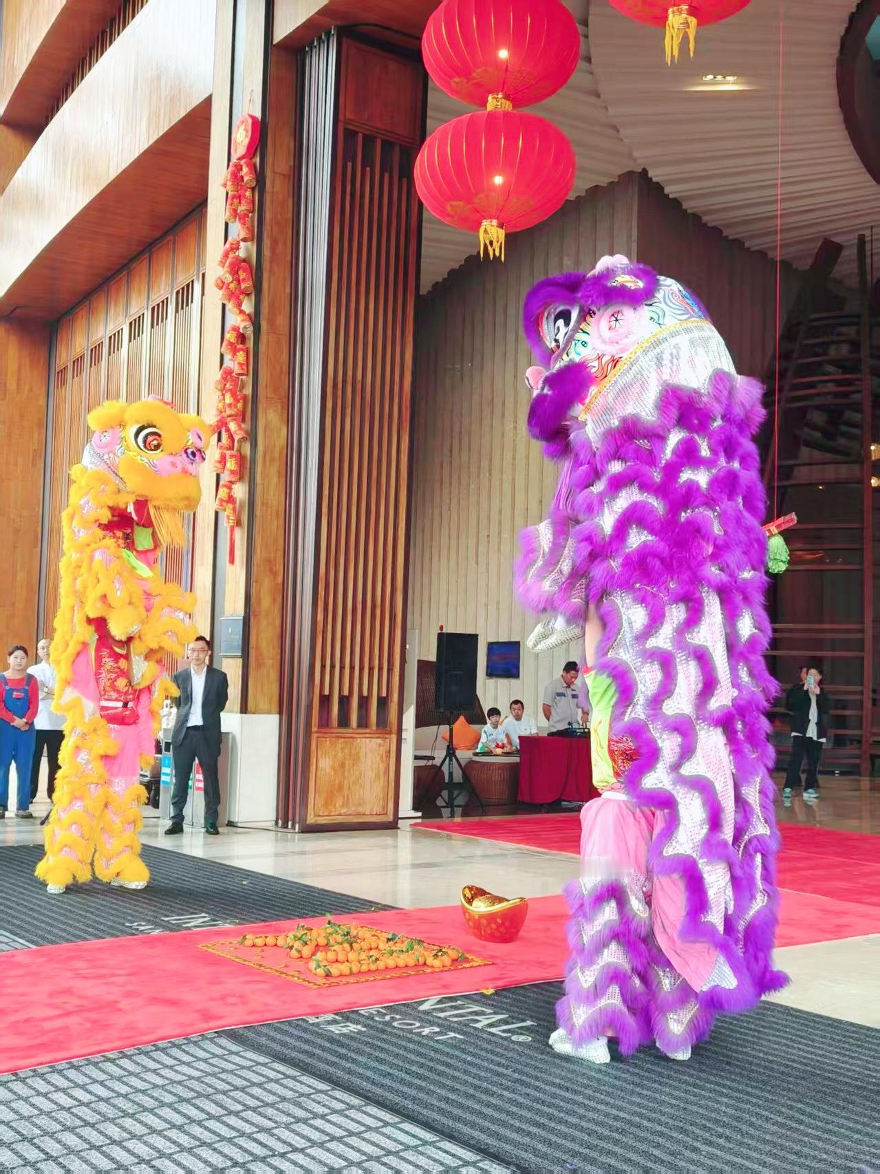 天南地北大拜年海南过大年，温暖又热闹。