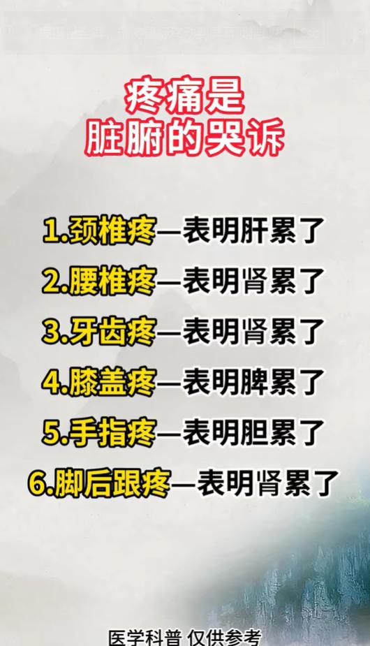 经常颈椎、腰腿疼痛？或许和脏腑耗损有关