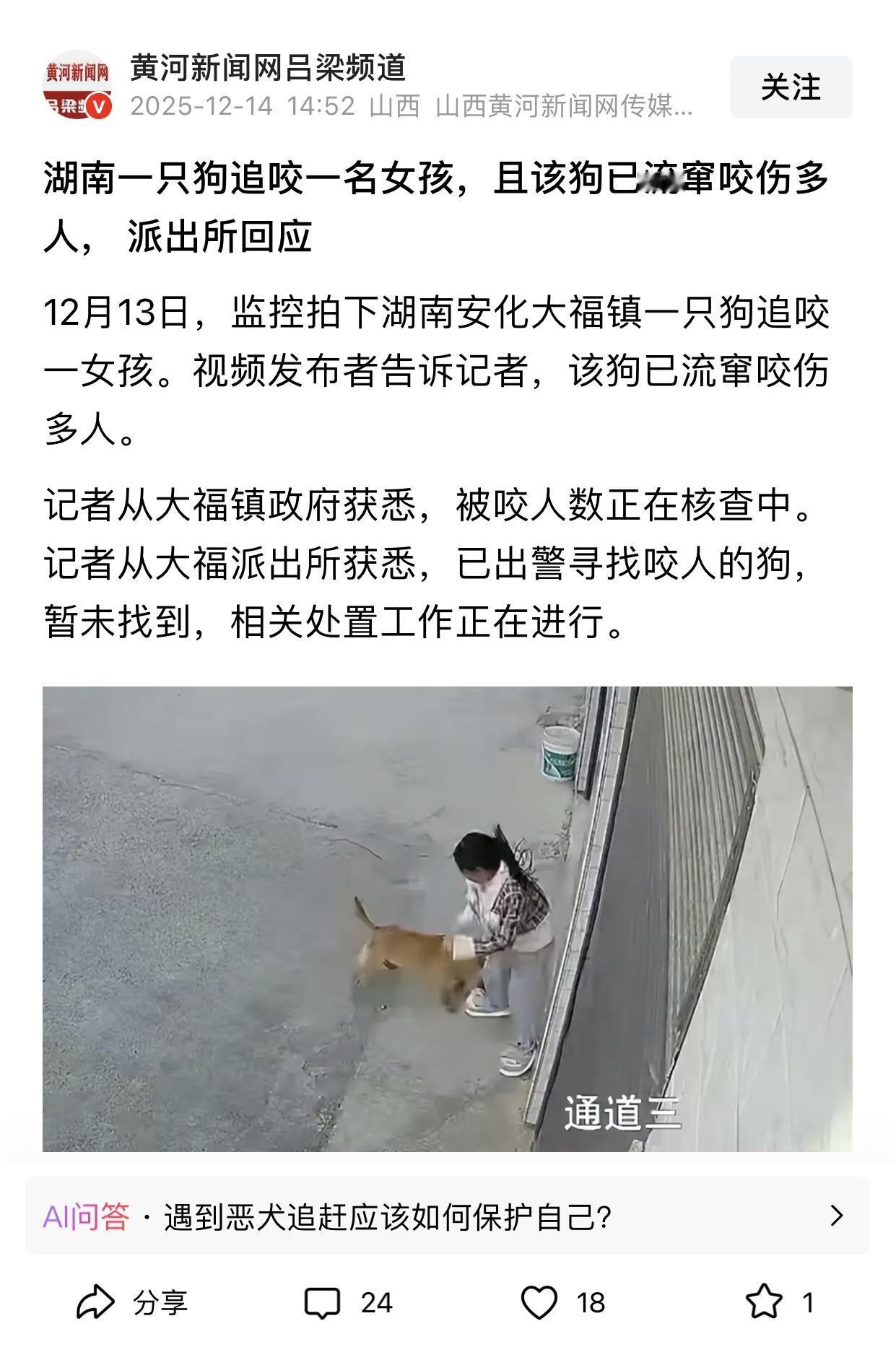 发现一个被很多人忽略的事实：
呼吁保护流浪狗的人基本上从不会出现在流浪狗伤人的消
