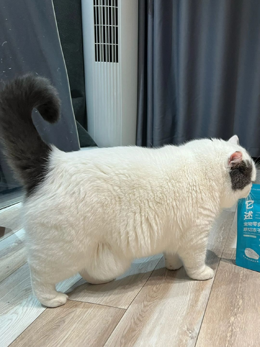 宝宝，你的囊囊肚肚掉地上了