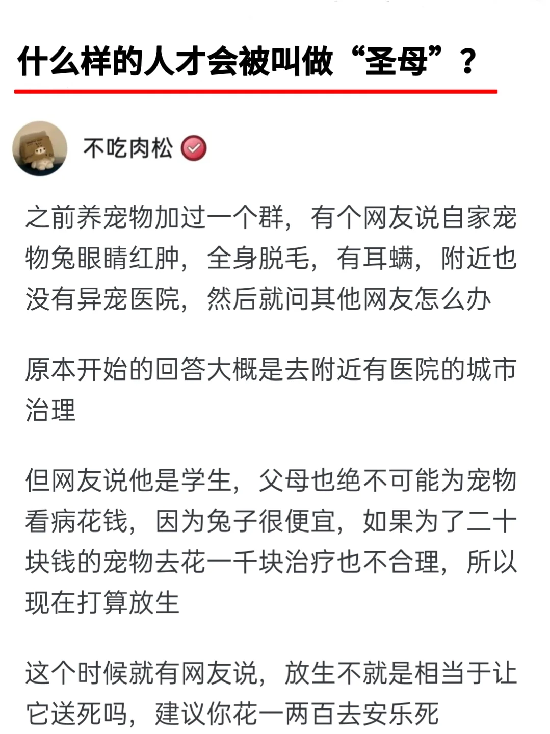 什么样的人才会被叫做“圣母”？