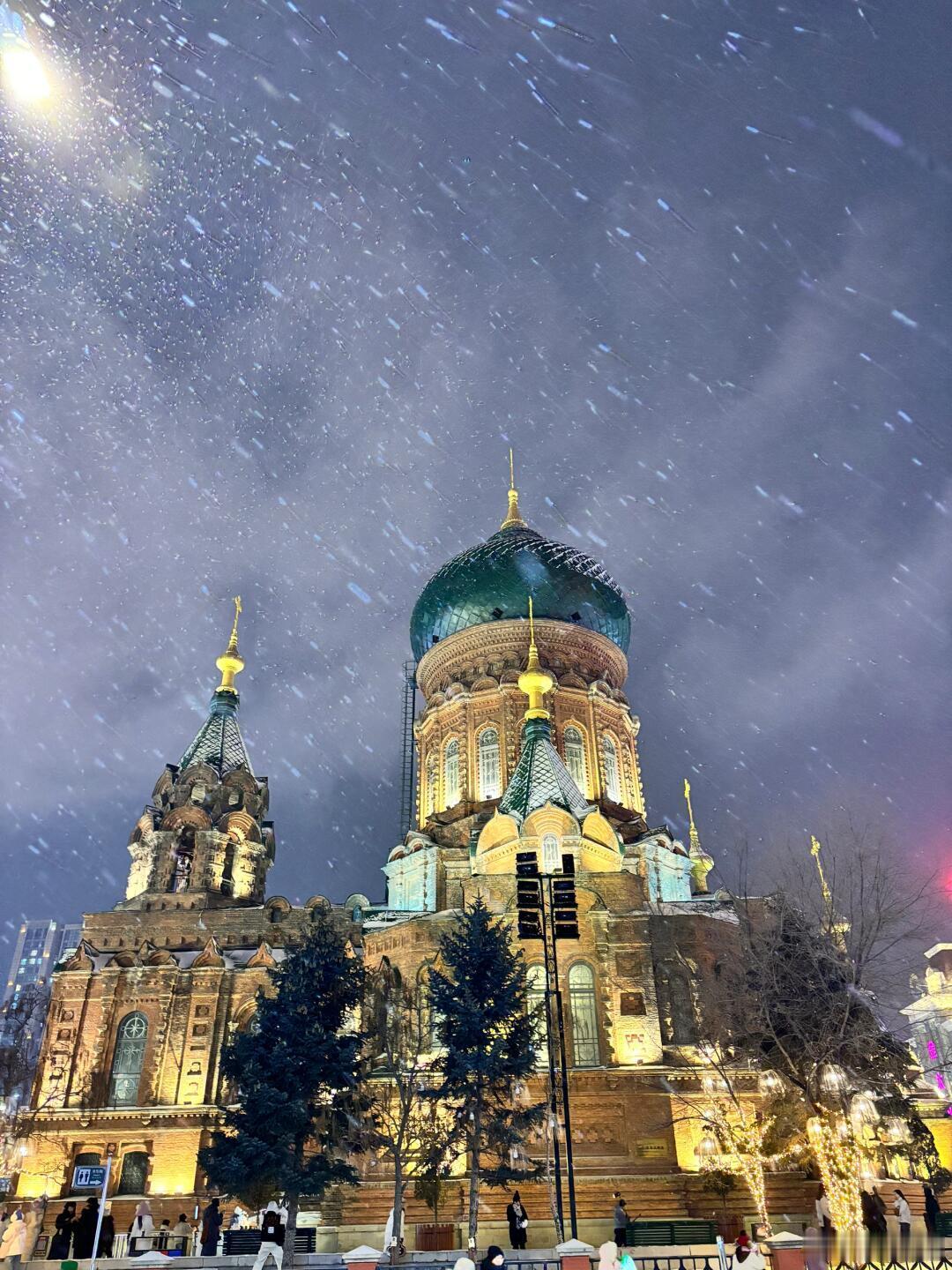 下雪北方都下雪了，我们浙江还在三十几度开一整天冷空调。今年太反常了啊… ​​​
