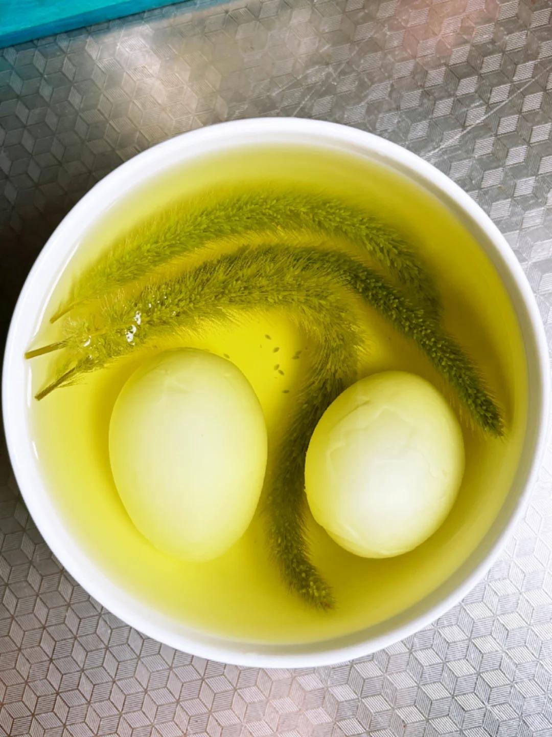 第一次见识到狗尾巴草对眼睛的威力，清晰明亮又滋润，整个人都舒服了

最近迷恋上了