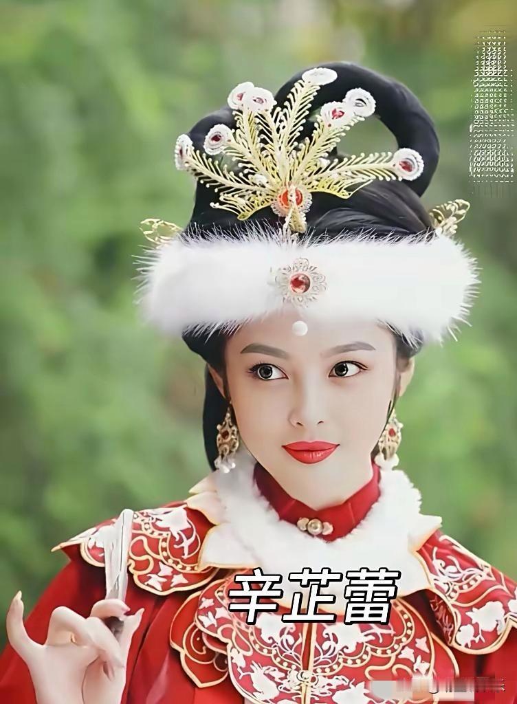 说到翻拍《红楼梦》，最难选的角色除了林黛玉，就属王熙凤了吧？
这个角色人物色彩太