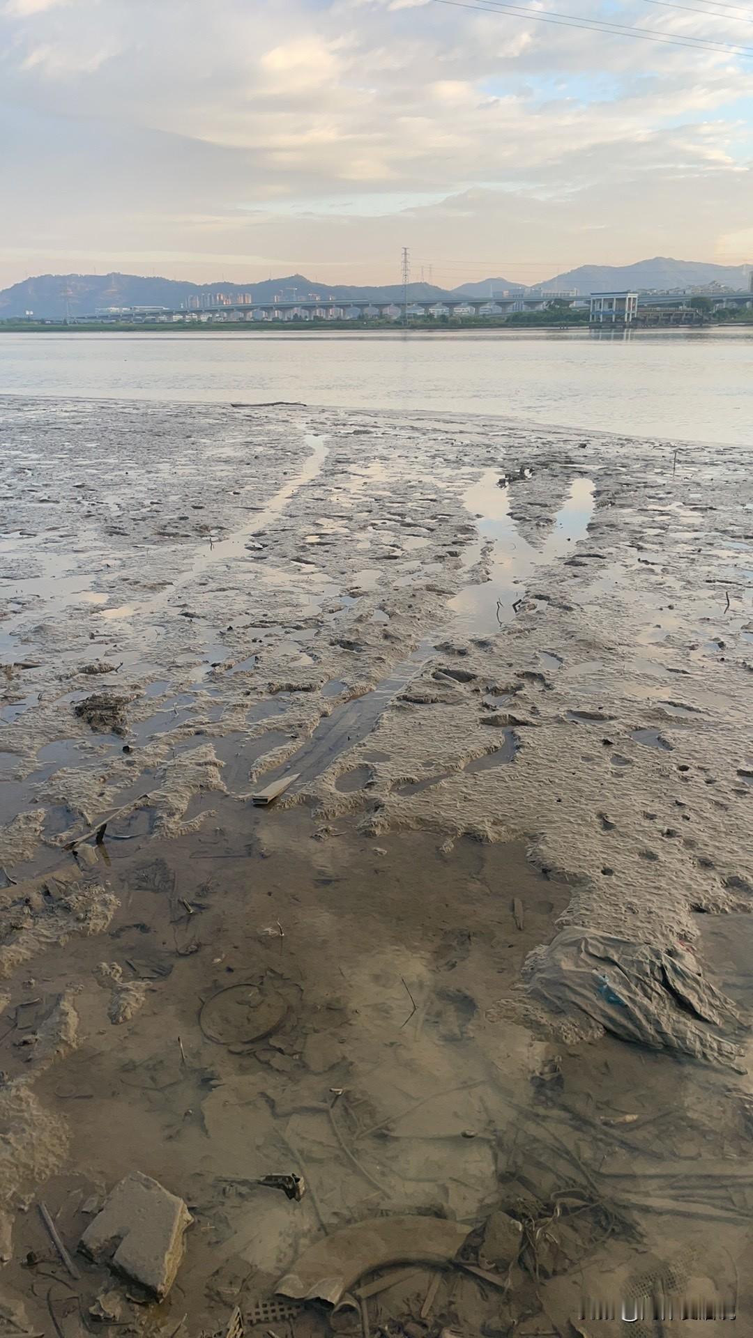 分享你随手拍的风景