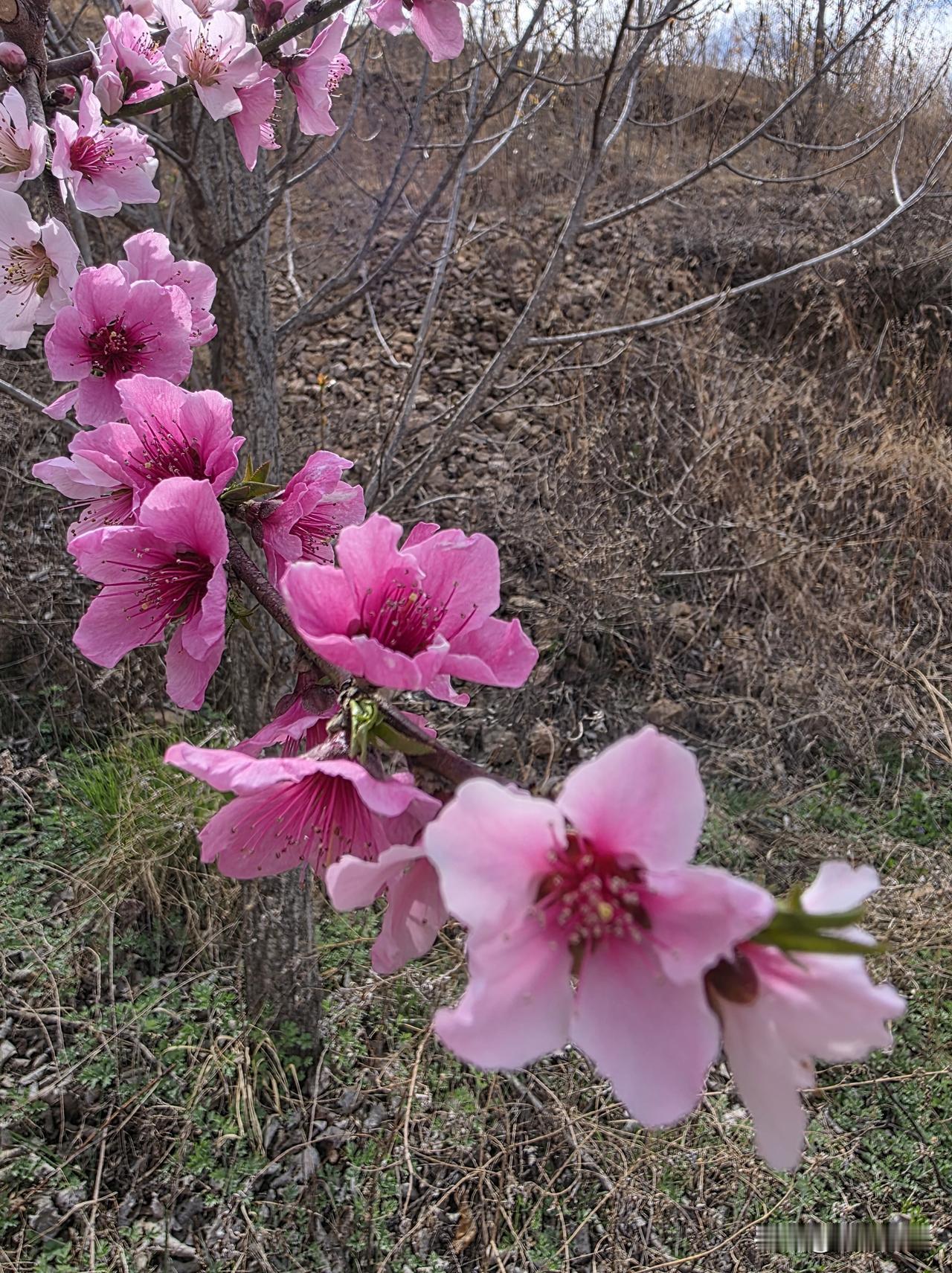 心胸狭窄与否，一个提问看得清清楚楚，只凭这一点，我指定对她不离不弃……

刚才跟
