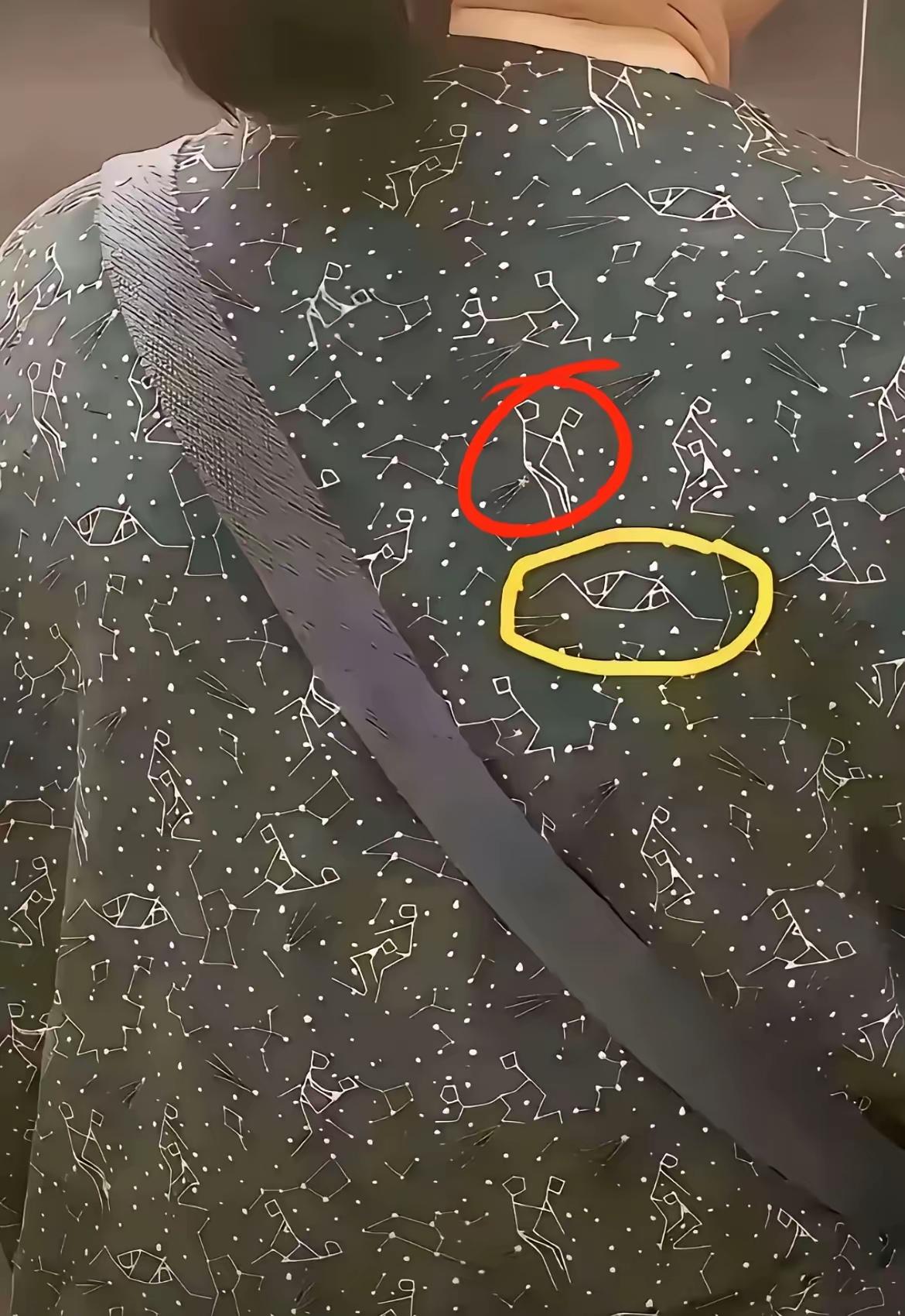 不懂就问，家人们刚才在南昌西站上车的一位年轻女孩，背的背包上两边还放了，两根这个