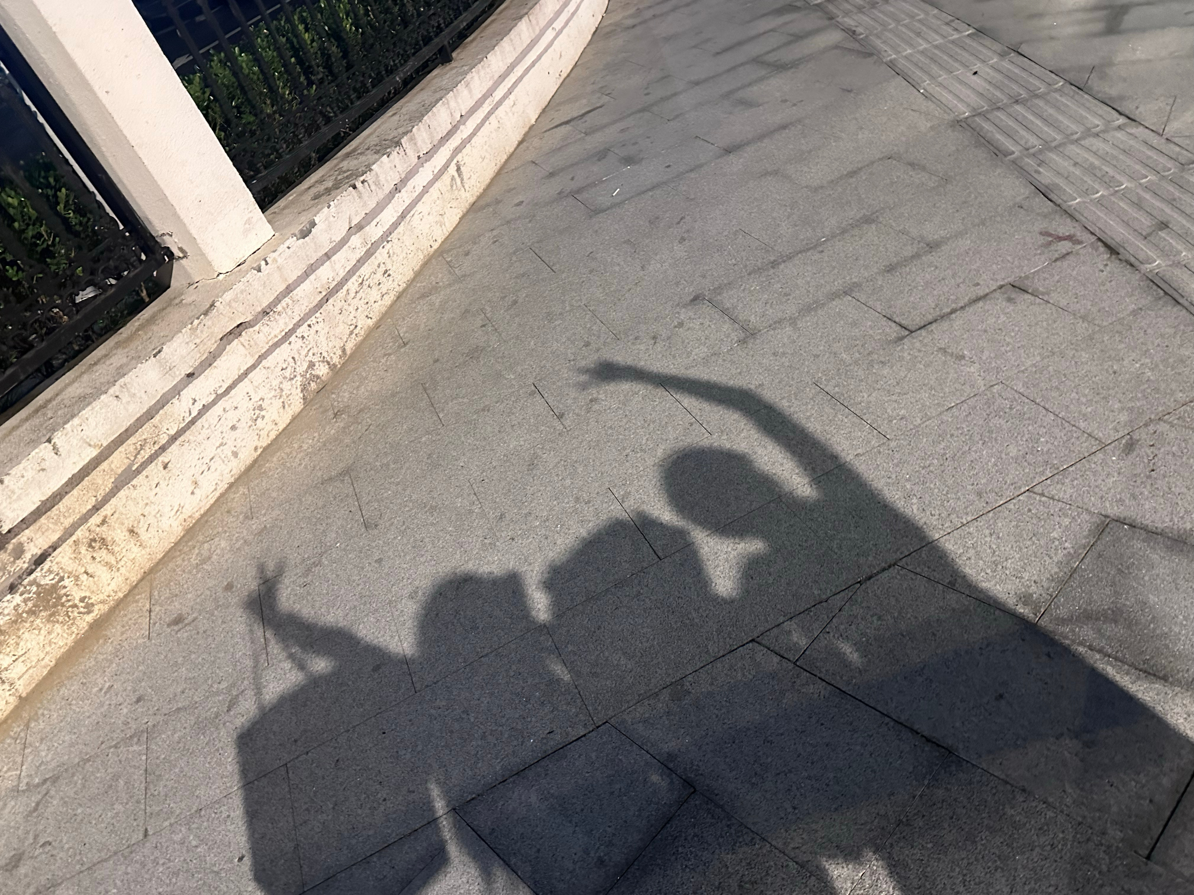 叽里咕噜滴嘟滴嘟蘑菇蘑菇 仓鼠嘟嘟24岁生日快乐 要永远开心哟🥳​​​