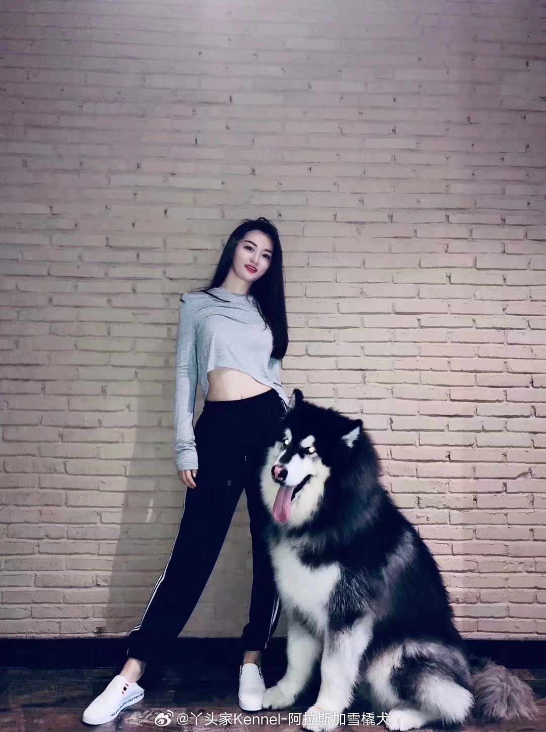 [羞嗒嗒]阿拉斯加当然是麻麻最帅气的保镖啦[太开心]【客户回访】 ​​​