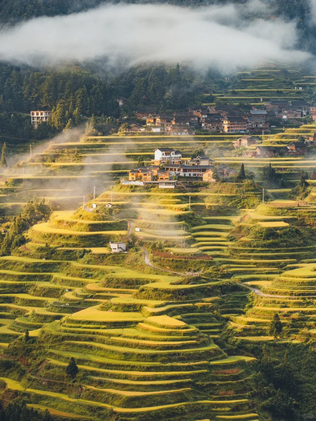 贵州白岩村 | 去梯田苗寨，过几天云上的日子