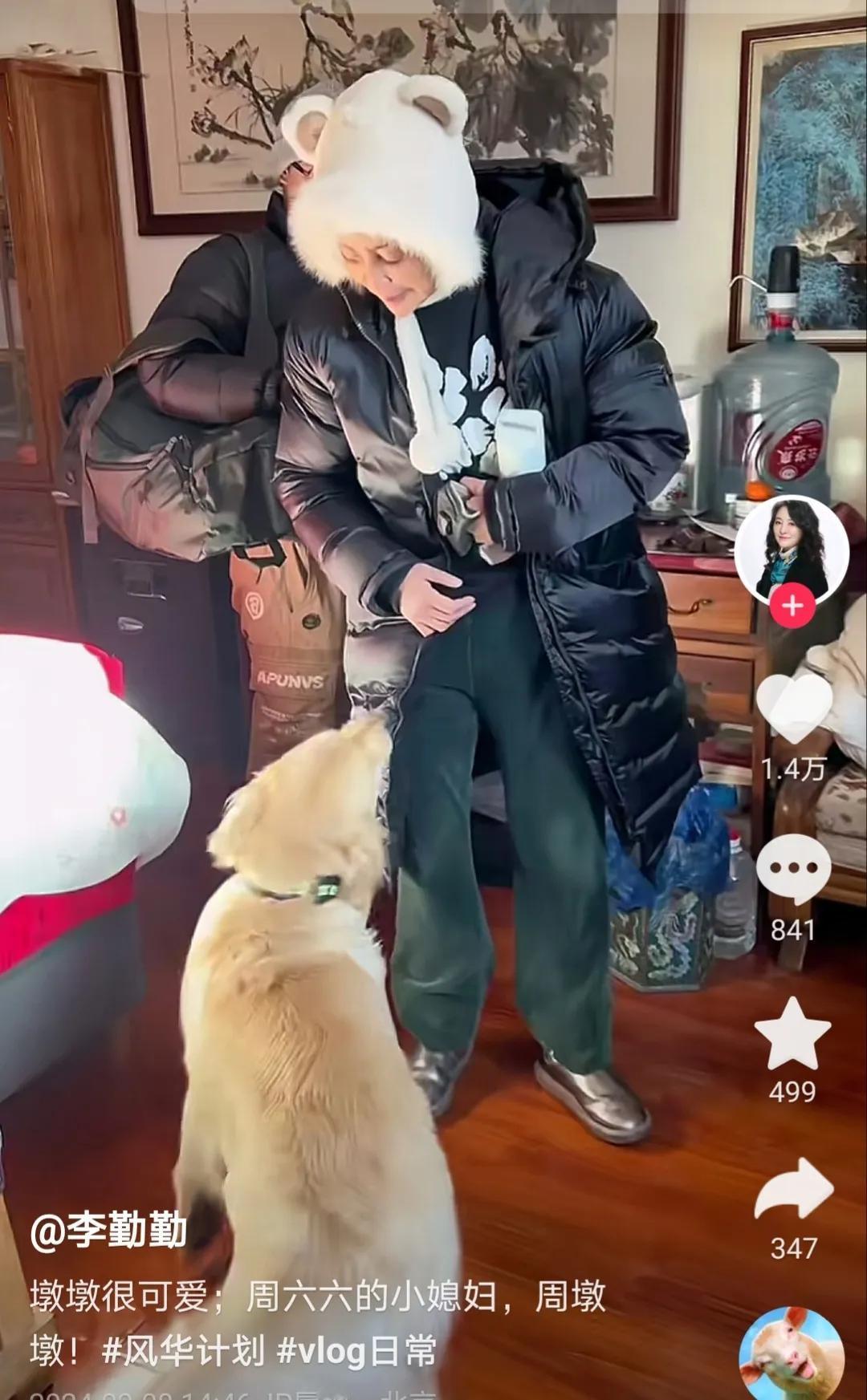 周海媚的爱犬周墩墩被演员李勤勤收养了，狗狗现在状态很好，李勤勤也非常善良，她对狗