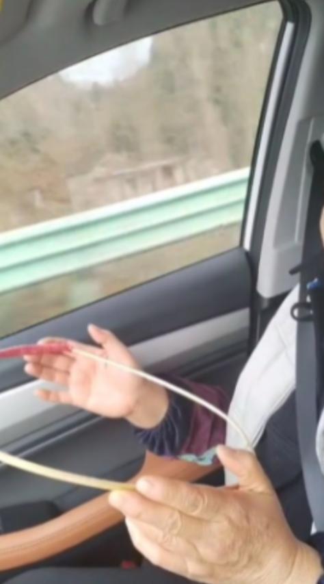 “人怎么能这么聪明！”浙江，一男子的母亲晕车严重，为了让母亲舒服，男子找了一个树