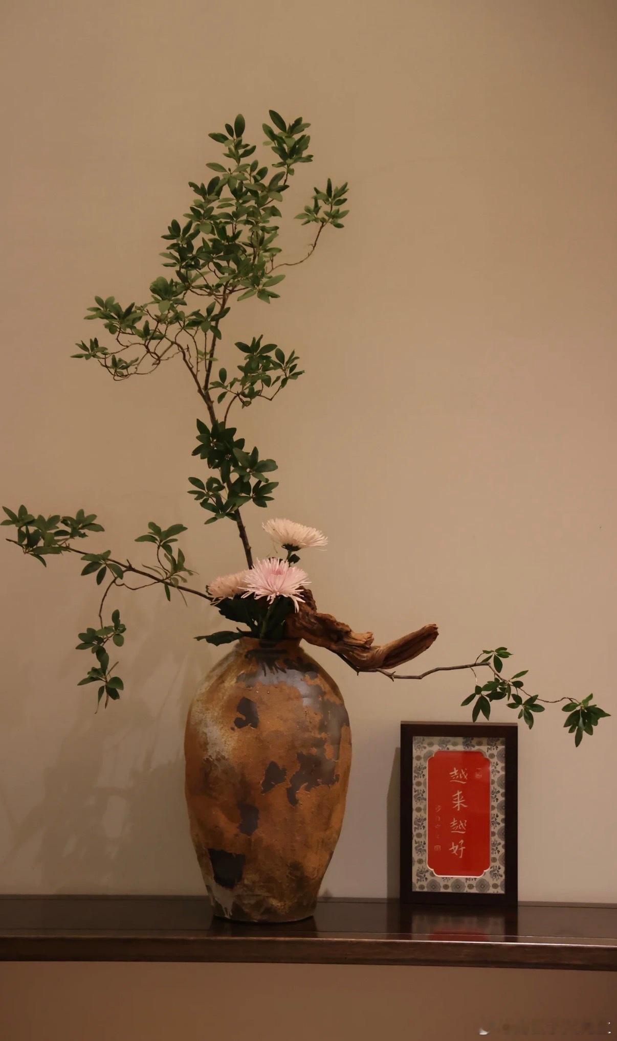 你的境界越高，越能看懂身边所有人，世事本无好坏对错，只是每个人所处的能量层次不同