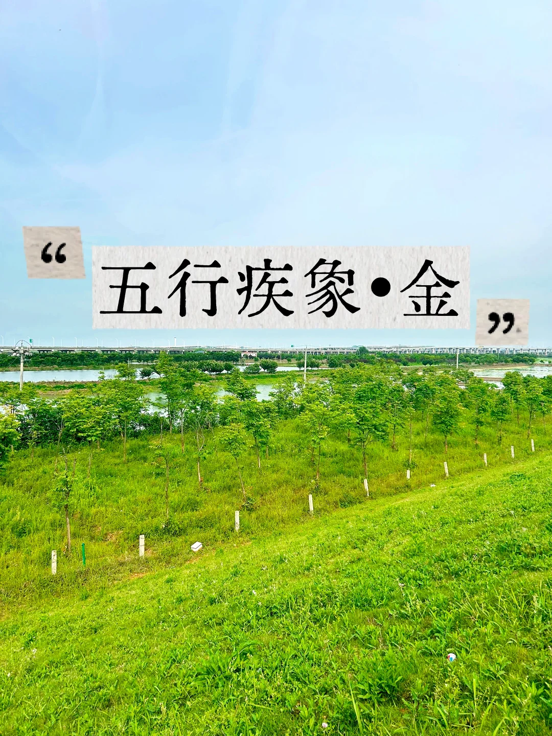 五行疾象•金