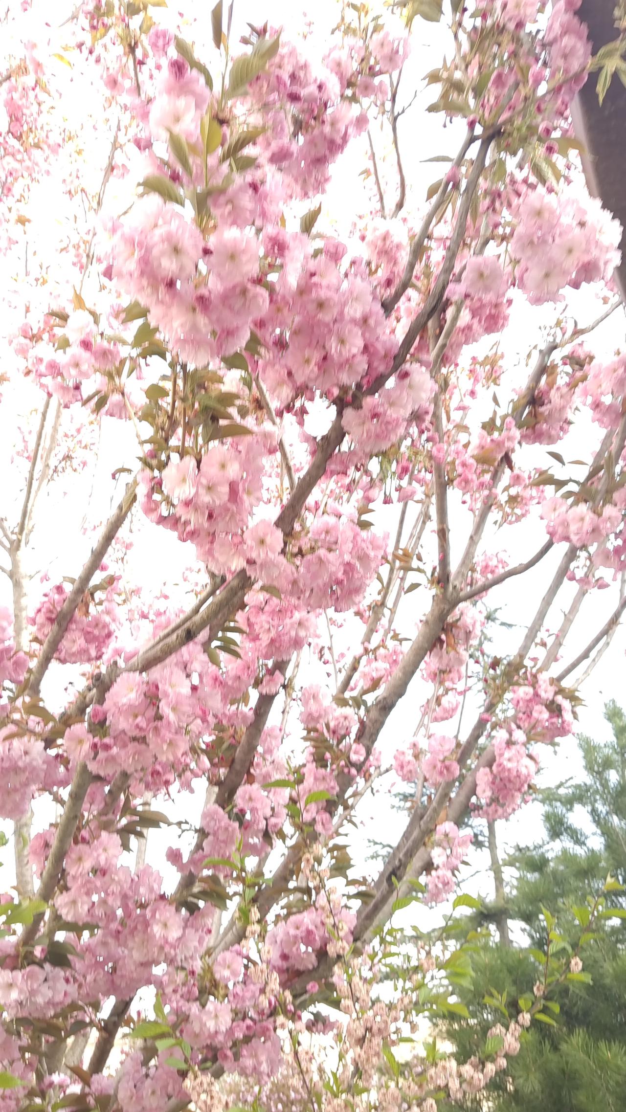 一个人最大的靠山,是什么?健康的身体才是一个人真正的靠山，有了健康的身体，我们才