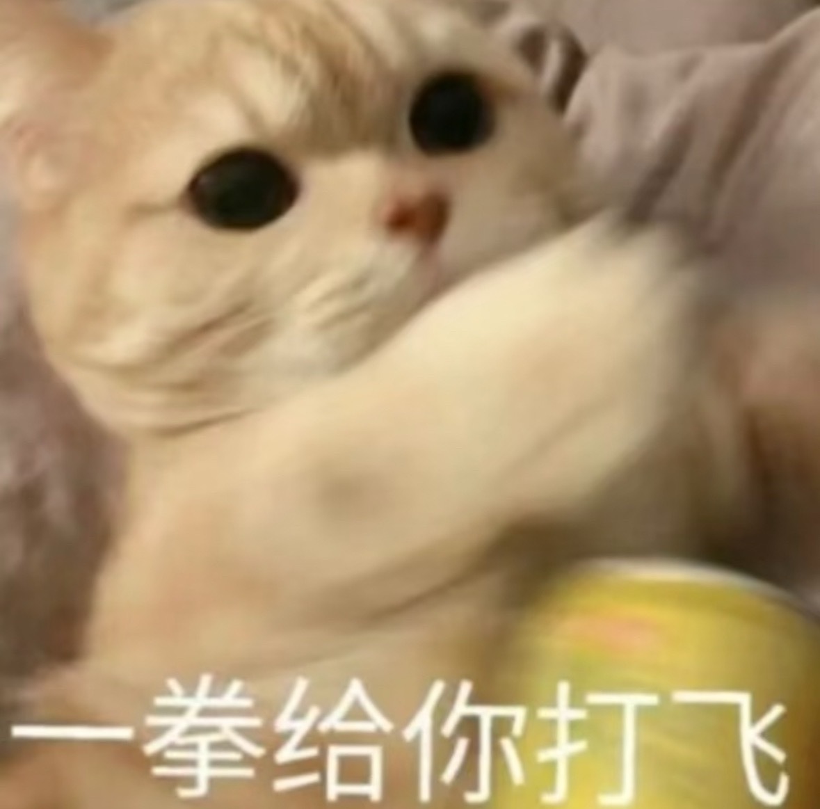 lmp说现在把太湖湾真相拿出来讲，是厂牌在提纯，很蹩脚的回应了，他们甚至说提纯，