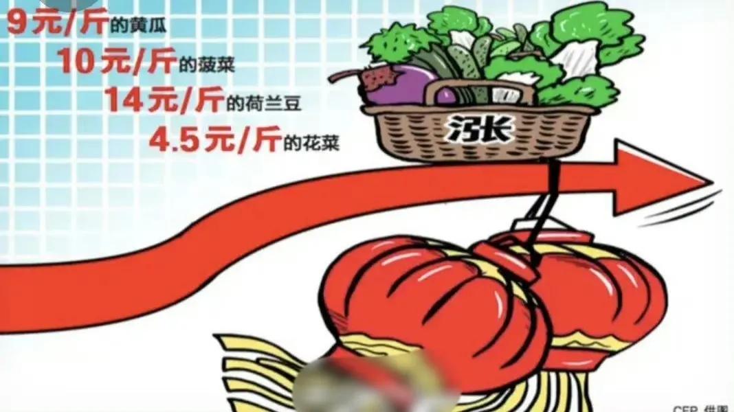 近期，蔬菜价格的上涨引起了广泛关注，普通家庭感受到了经济压力。据新闻报道，蔬菜价