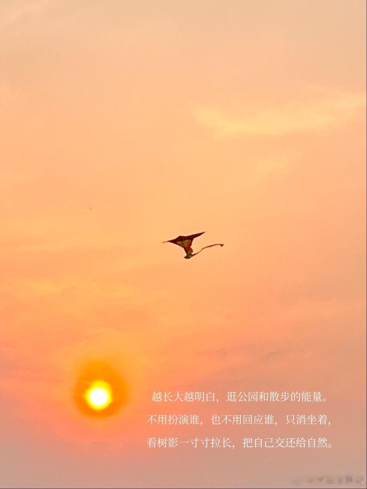 我的解压方式：一个人散步、看书、逛公园能量低的时候我会选择走出去，不说话，也不社