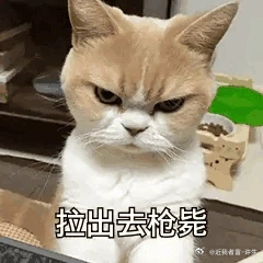 关于一些进场取关又重新关注的人，老许在这里说一句，等我心烦了，全部关小黑屋，老许