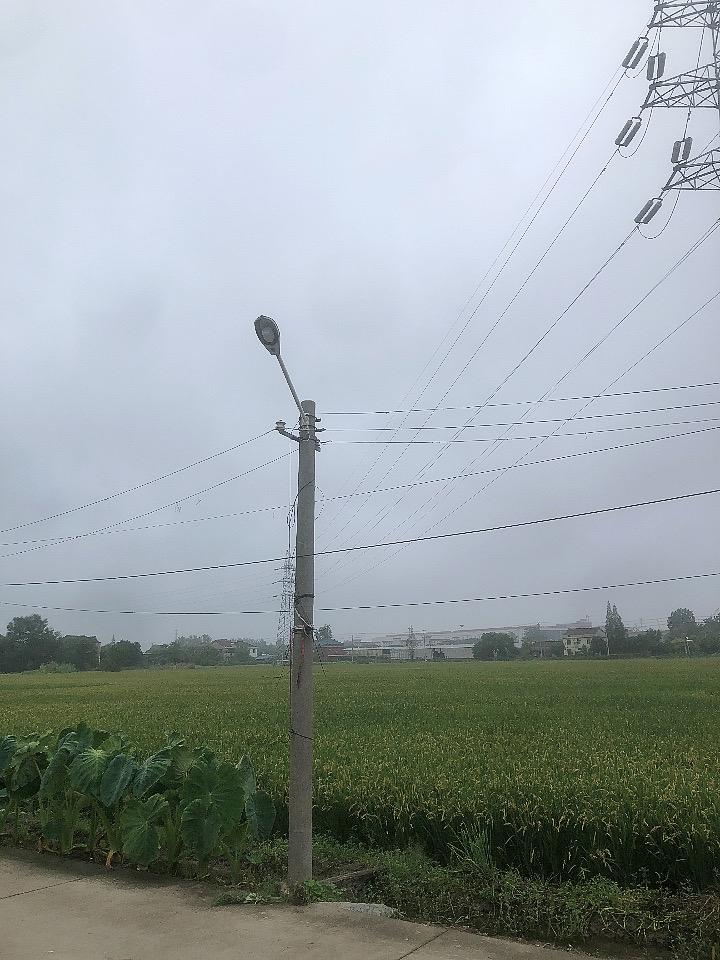 下完雨空气特清新