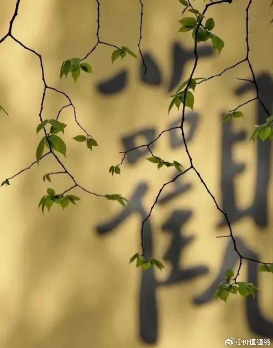 刚才和身边的朋友说，统计一下身边生活困难家里孩子上学需要学费，生病无钱治病需要资