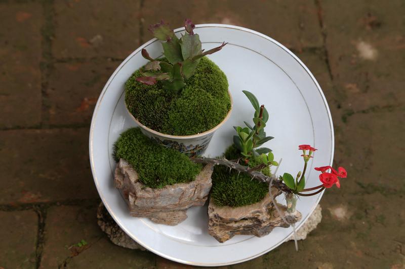 4月15日，四川成都中南樾府小区出大事了！一把菜刀从高空坠落，直接掉在了2栋与3