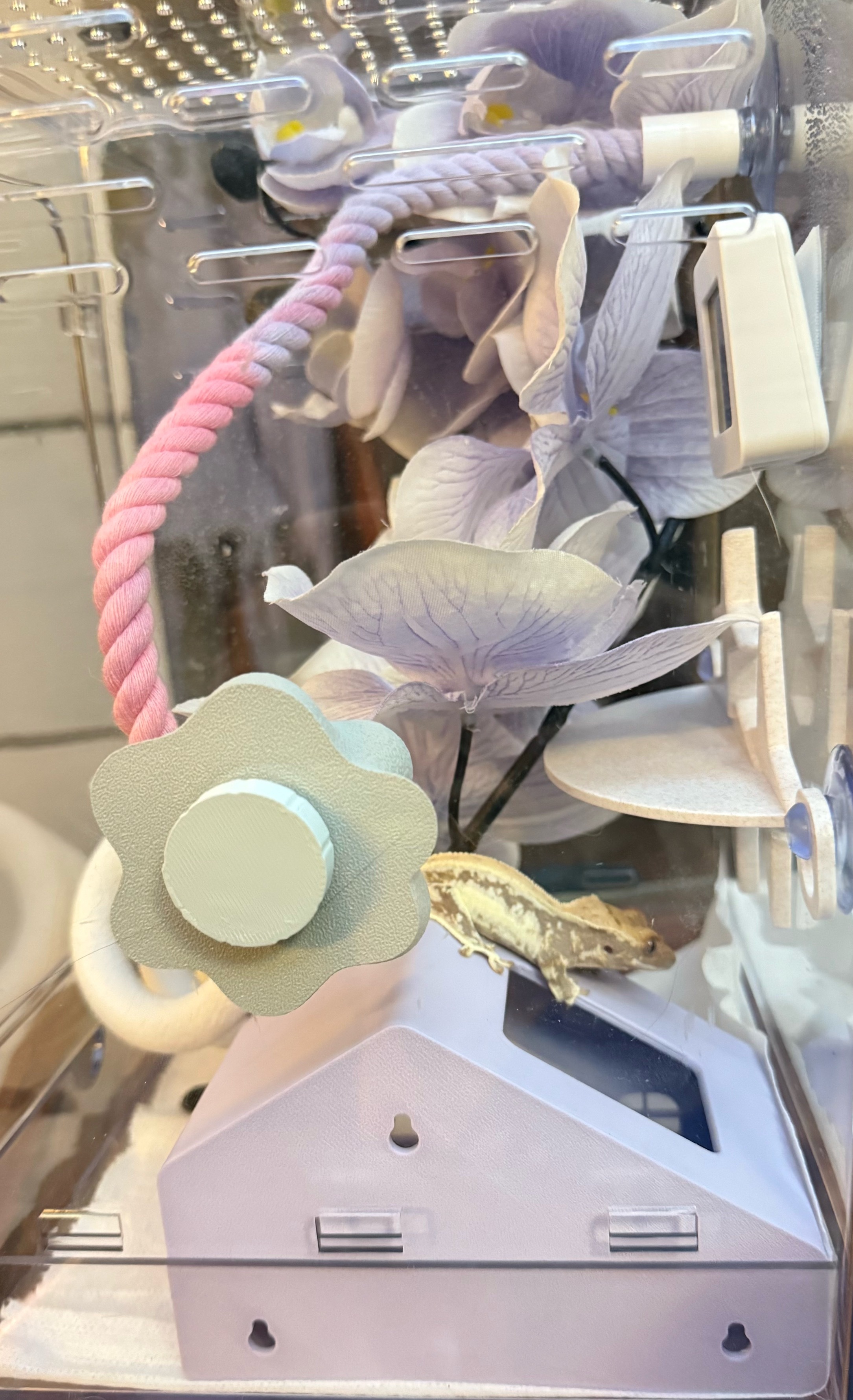 沉思 