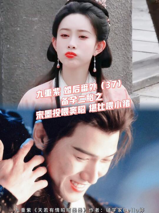 九重紫昭昭墨墨婚后番外：备孕二胎喂小猪