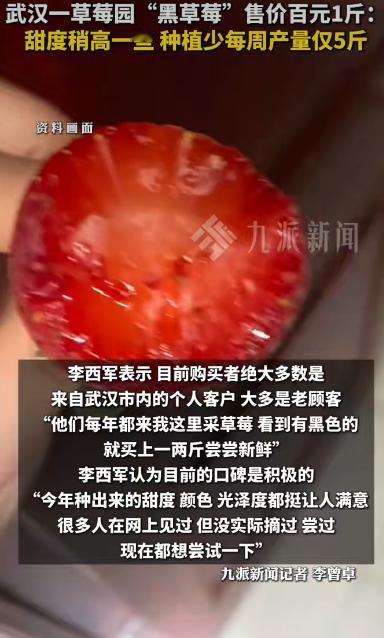 武汉有个草莓园突然火了，起因是园里种出了一种叫“黑草莓”的新品种，每斤售价高达百