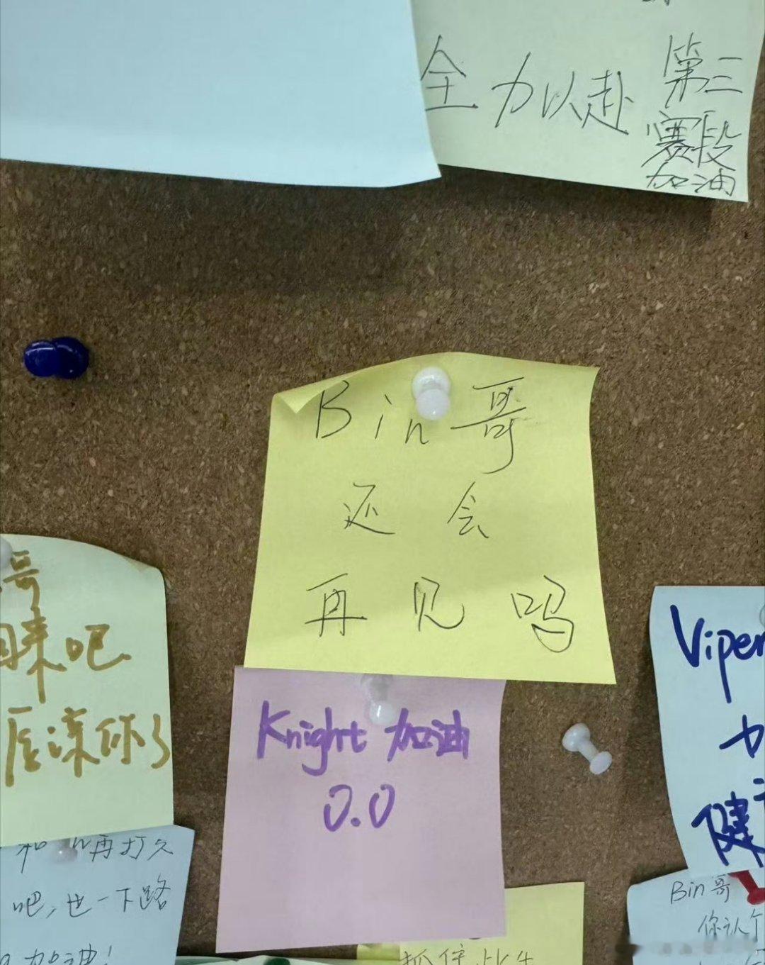 Bin哥的粉丝还挺多的啊，Bin哥现在不回来，肯定是在蓄力，然后后面给我们一个大