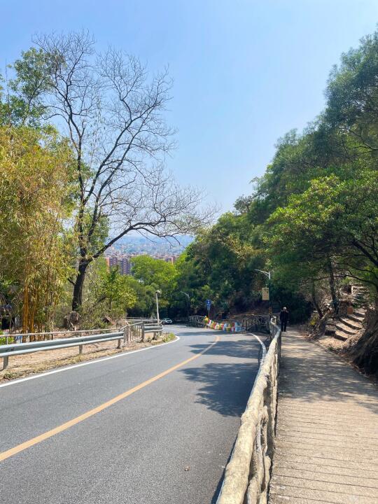 ⛰️汕头春日山咖| 登山完躲进树屋饮咖☕