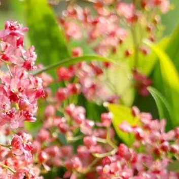 阳光信用‎阳光‎信用 ‎每日一善 努力去做一个温暖的人,用真心对世界微笑,用眼泪
