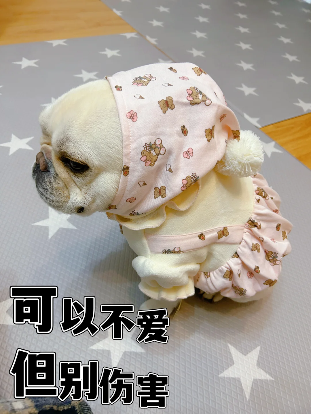 我根本不敢去细看那些的内容