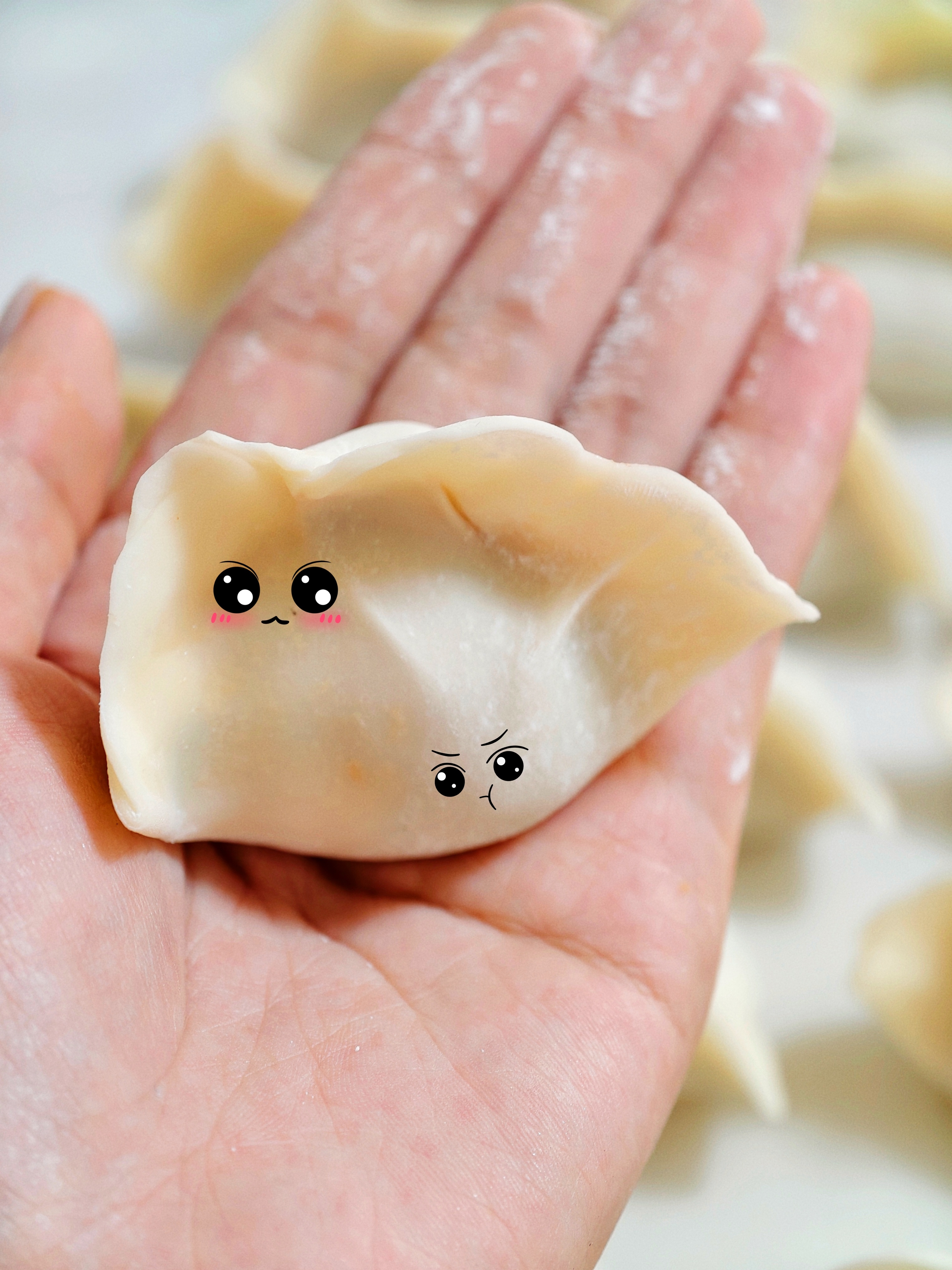 生活手记 今天假期最后一天，主打一个包饺子~姐妹说按照我这份量，开店要亏本好了好
