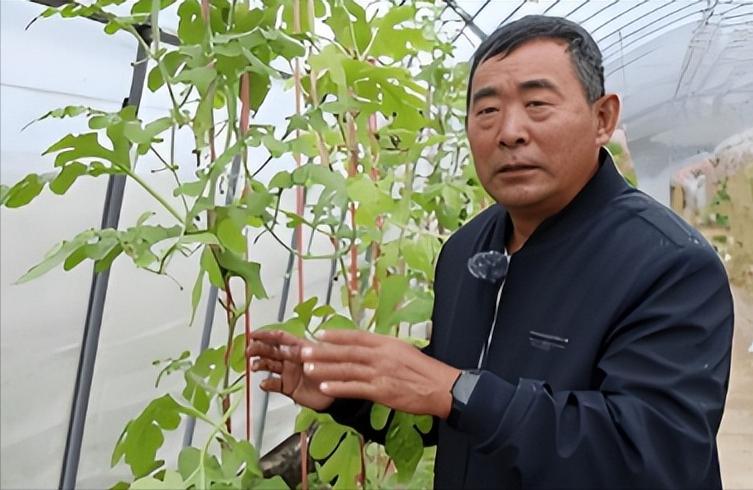 一位没上过大学，连高中都没毕业的黑龙江农民，拒绝300万美元的挖角，攻克了让美国