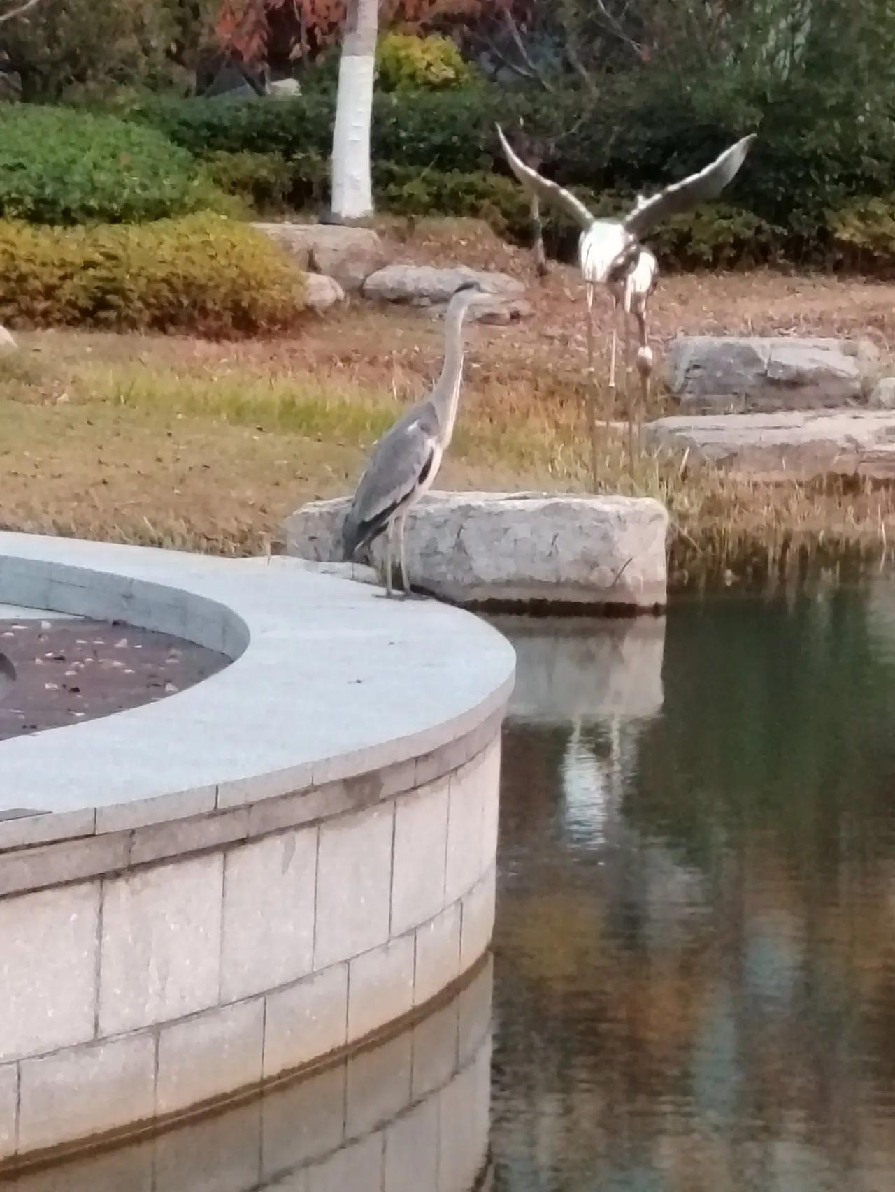 现在的贵妇人不想穿紫貂皮制品啦，主要是气候变暖，穿着实在太热。[大笑][赞][赞