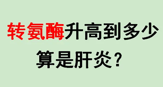 轻度升高：转氨酶轻度升高（如未超过正常上限的两倍，即80U/L）可能由...