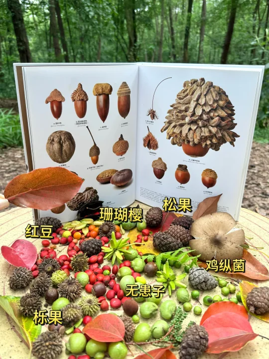 9.6实拍 🍂成都植物园捡秋成功！附详细路线…