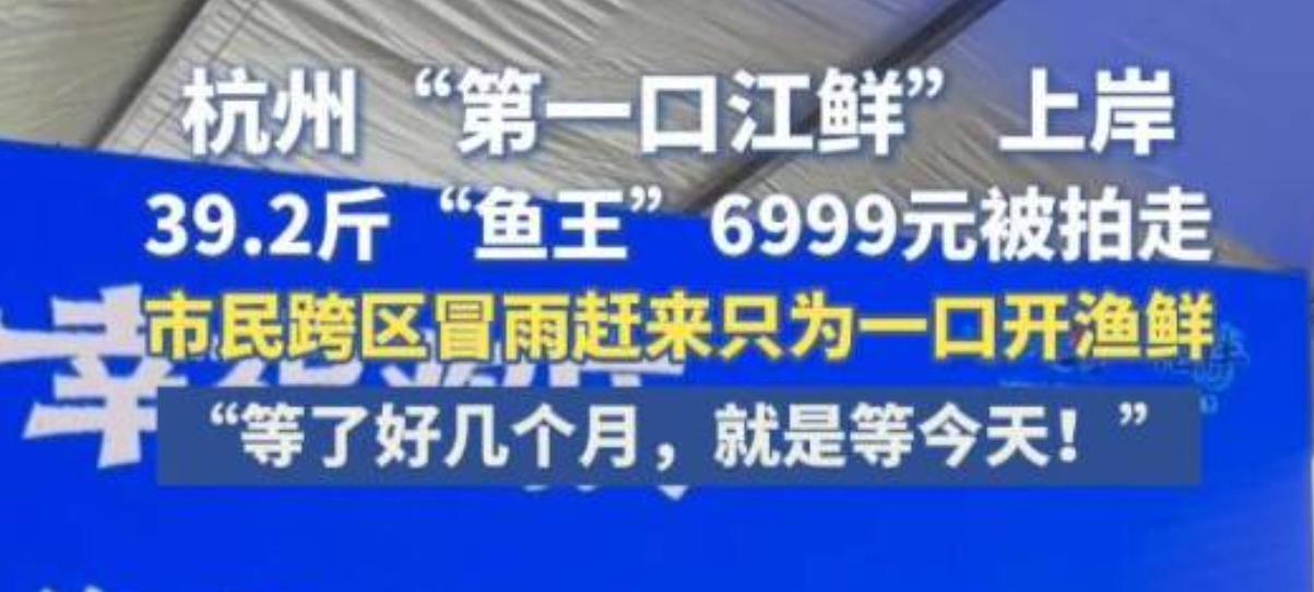 随着钱塘江年度禁渔期正式结束，杭州迎来万众期待的开渔时刻，大批渔船出江捕捞，钱塘