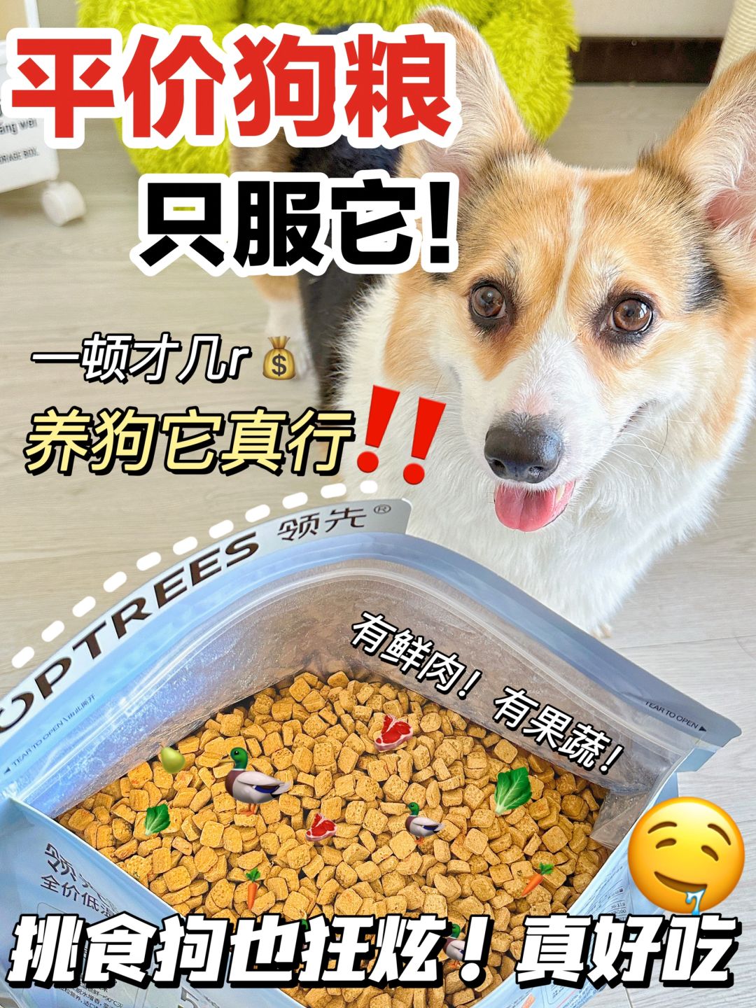 💰才几R/顿！平价狗粮！我能回购一辈子！
