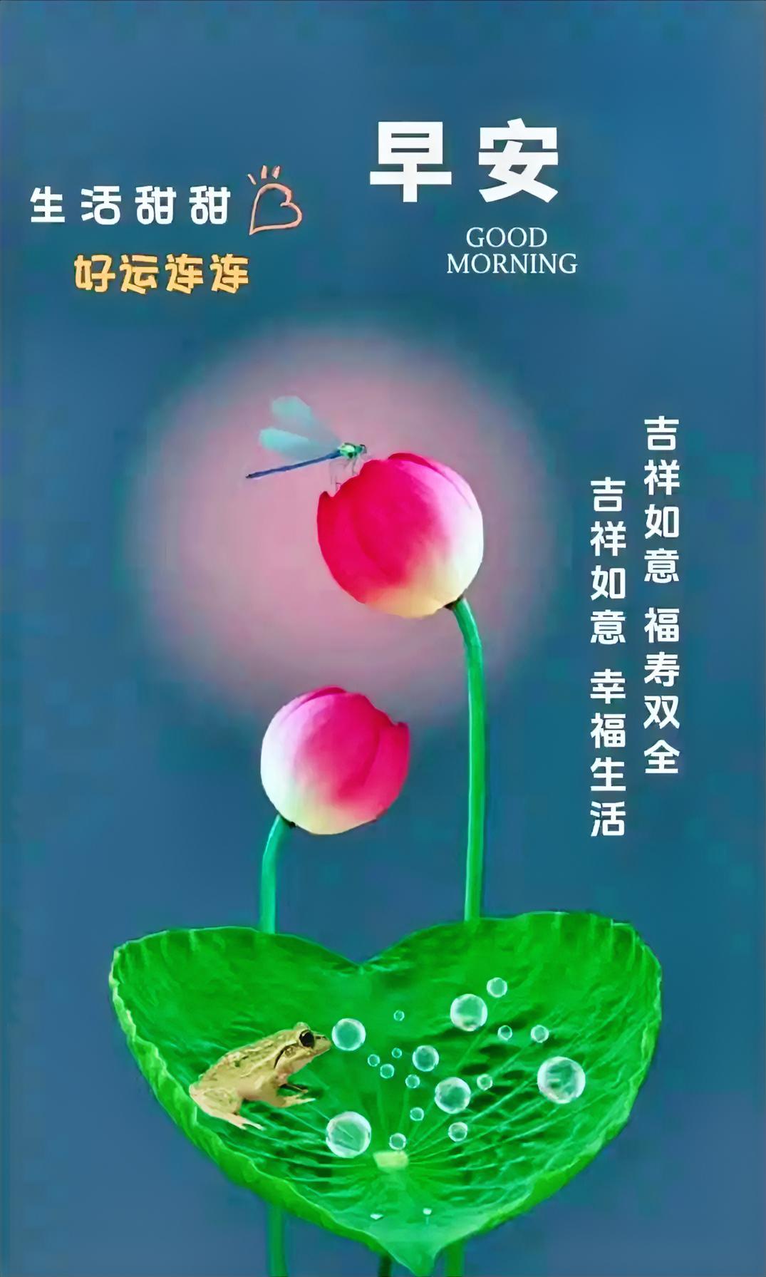 揽一缕晨曦，赴今日温柔，早安。
你认为人生重要的是什么 
分享早安的美好话语 