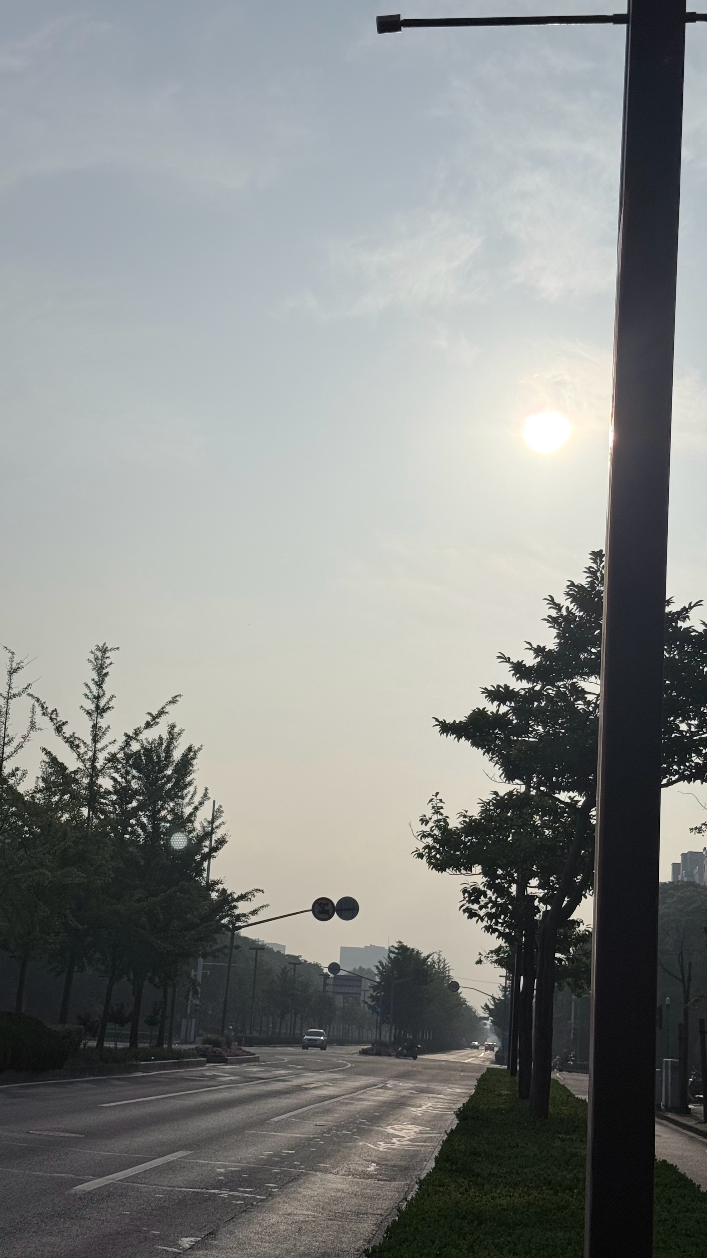 阴雨的上海终于迎来了它的晴天感觉心情都变好了