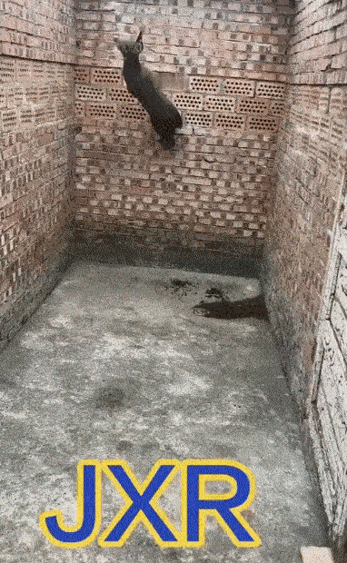 差一点就成功了～