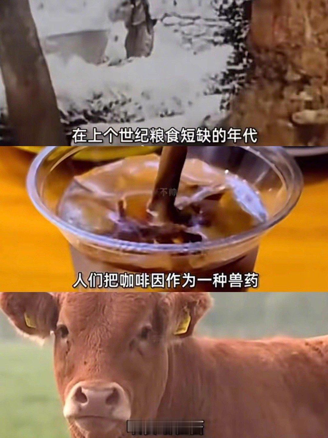 破防了 ​​​