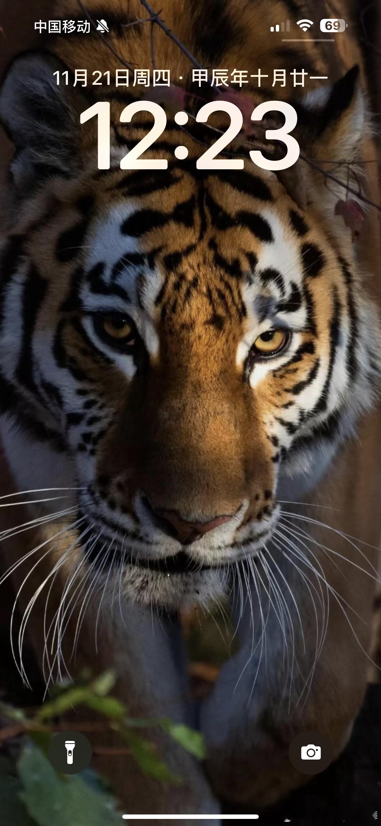 🐯 我是从什么时候开始对流量祛魅的做博主第8年，已经彻底不在乎数据当拥有过千万