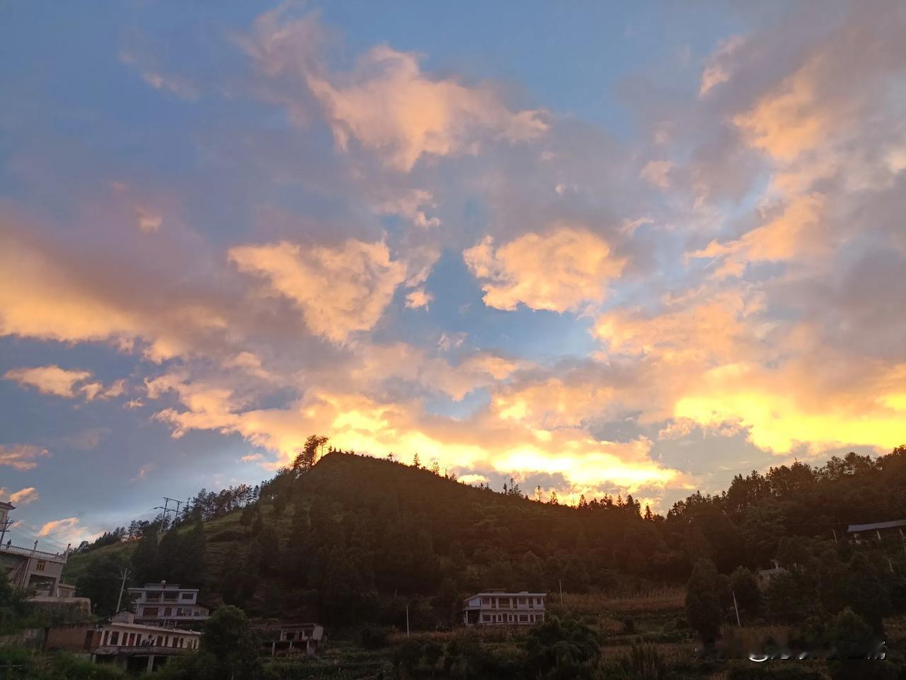 在贵州，在取包谷，好热，每天的衣服都是打湿的。

真的不明白为什么贵州人不去沿海