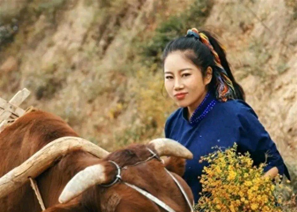 为上星光大道掏空家底欠债40万，遭淘汰后，那个陕北姑娘今怎样了当时，这个陕北姑娘